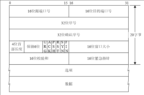 TCP报文格式